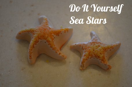 DIY Sea Stars